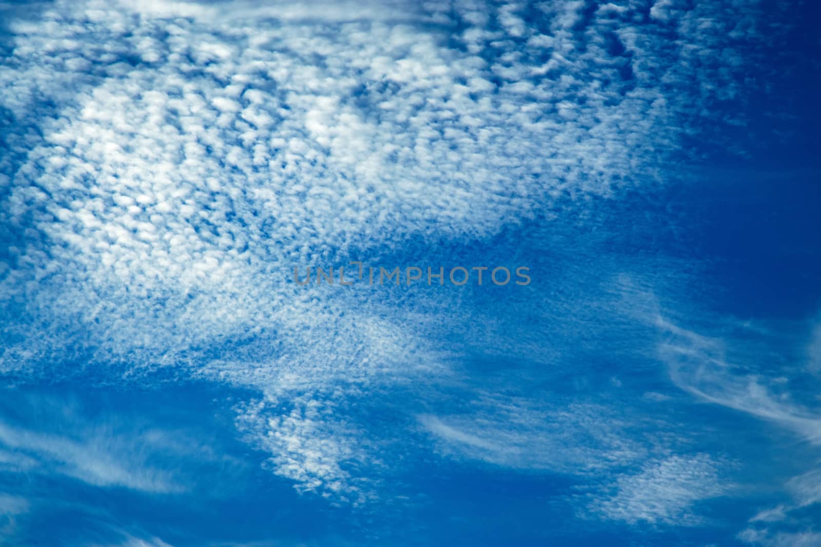 seasonal nature background abstract sky with clouds of algae