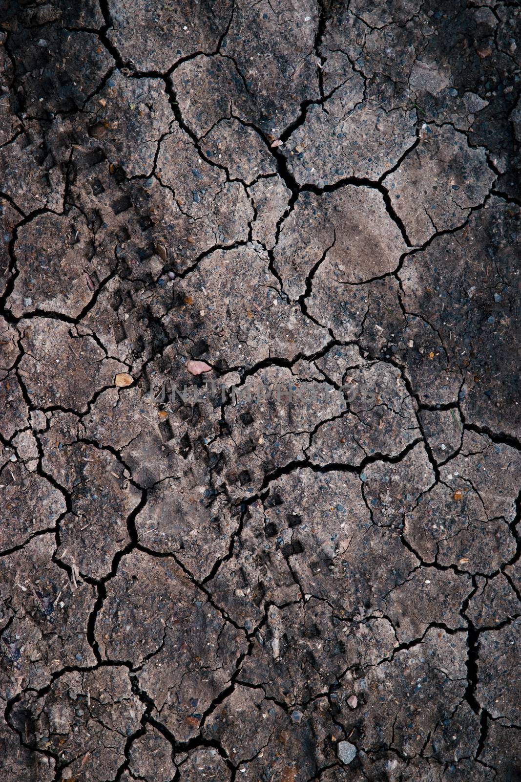 background or texture dry clay with tire cyclo tracks