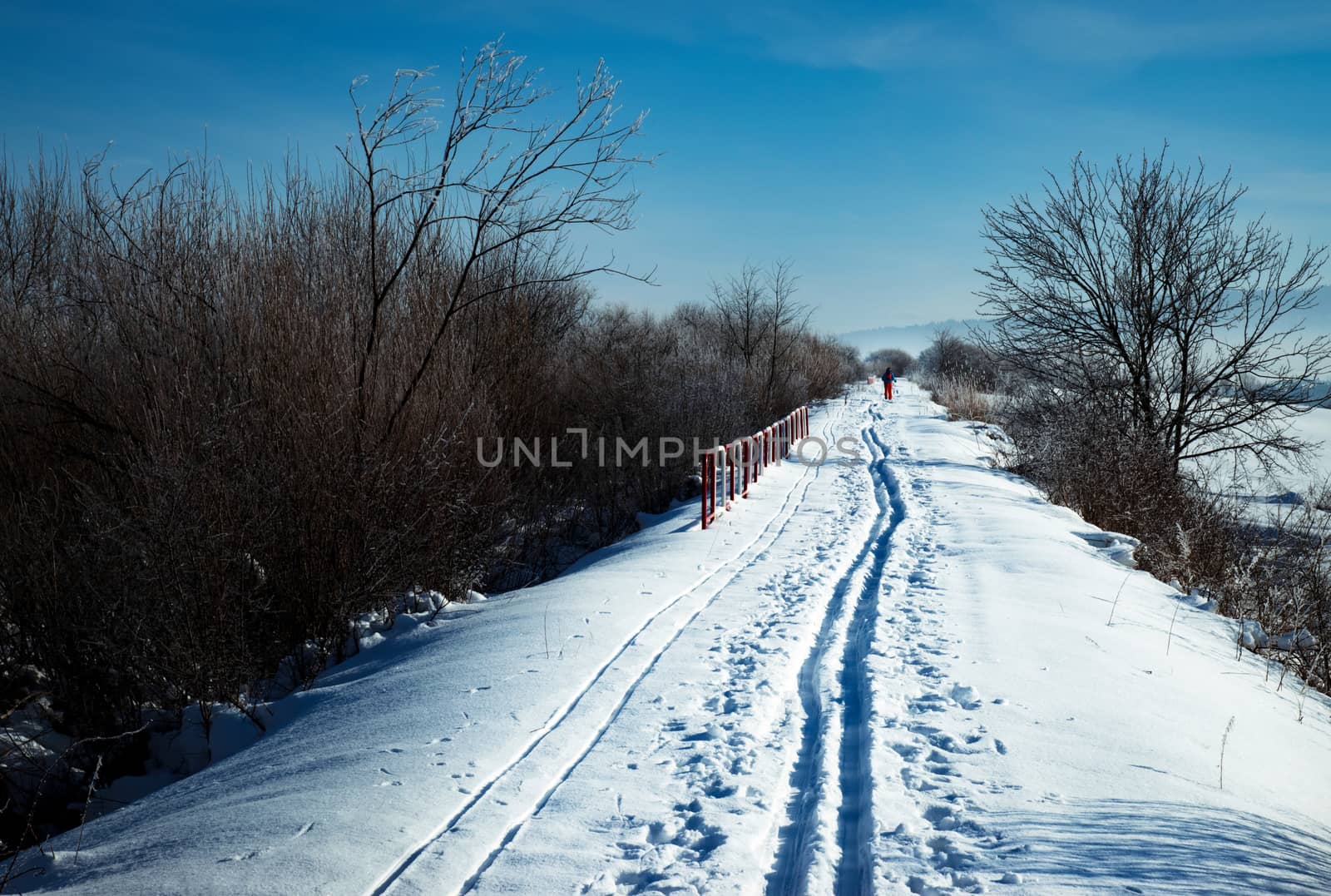 winter background in the distance a figure skier on a cross-country ski run