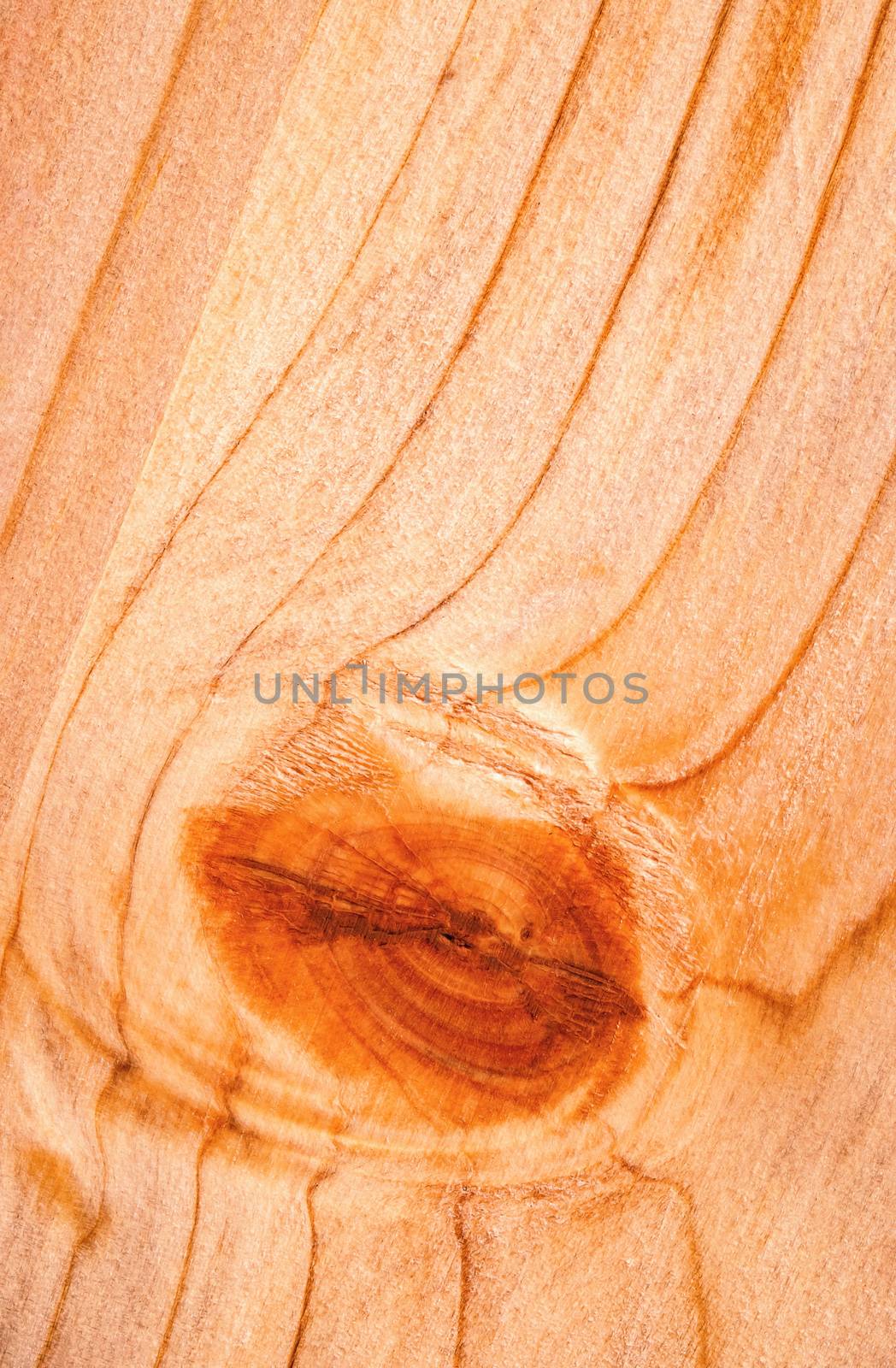 background or texture detail of a wooden board with a bump