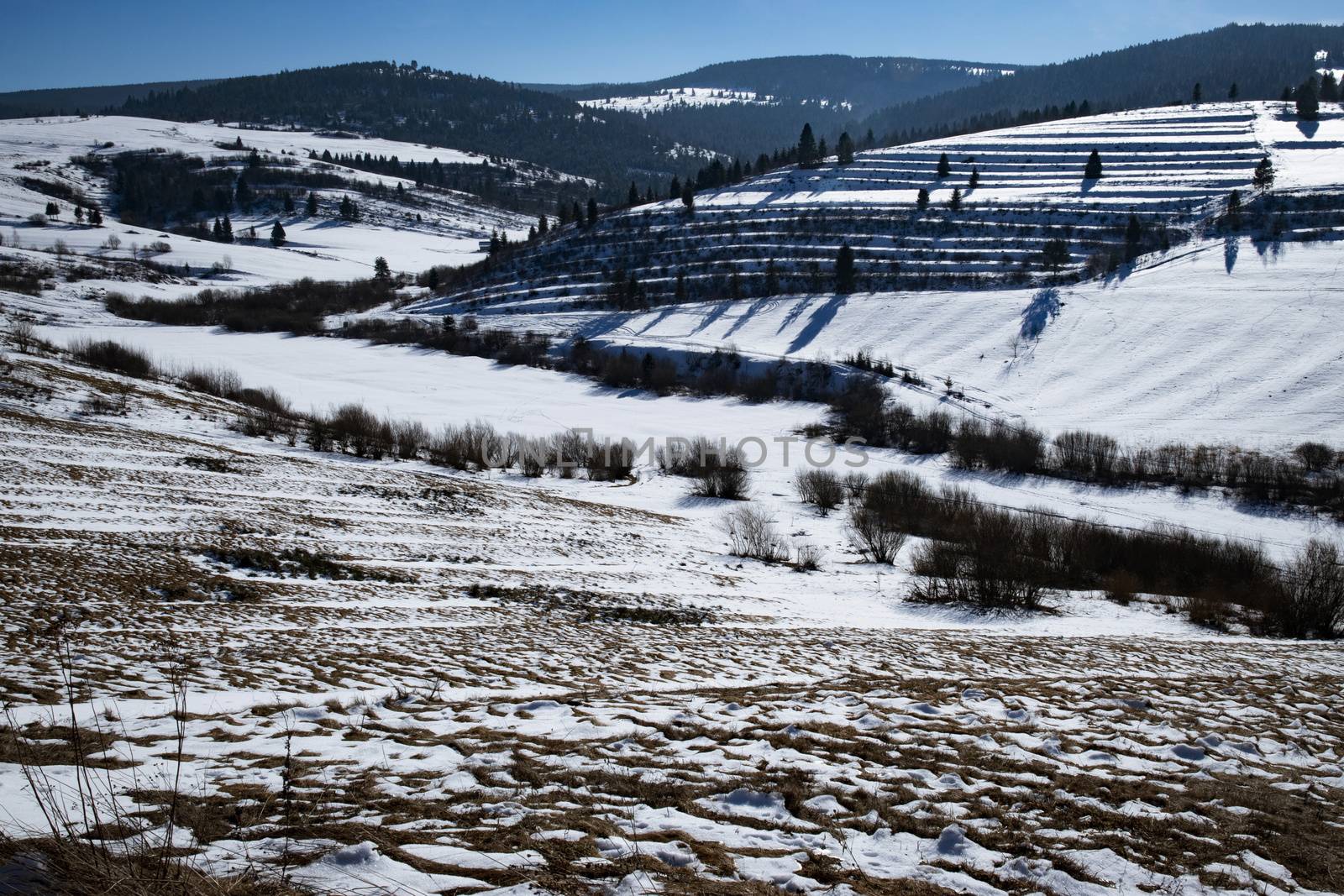 hilly winter landscape by Ahojdoma