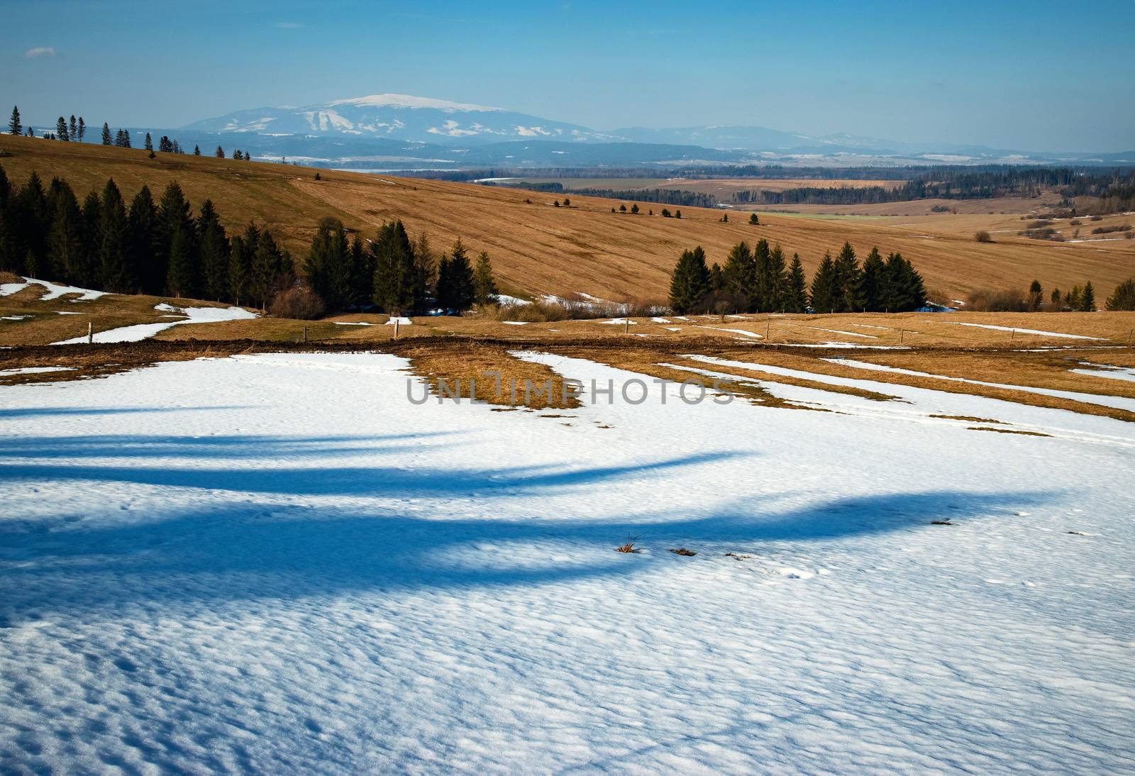 season nature background spring snowy landscape with a meadow