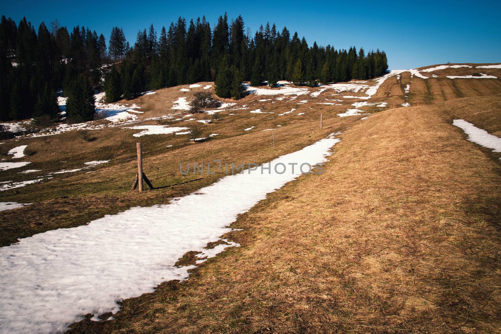 season nature background spring snowy landscape with a meadow