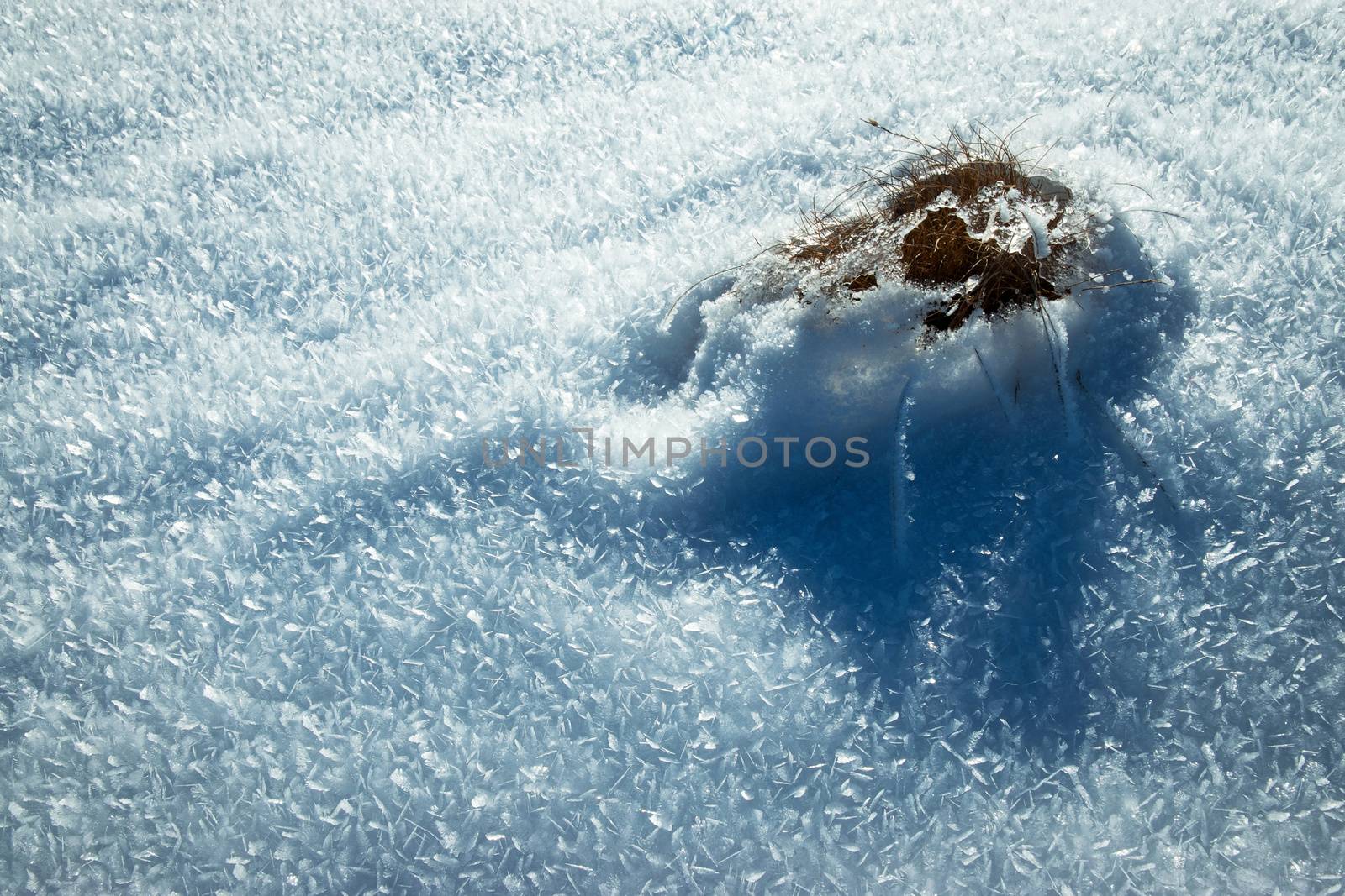 seasonal nature background frozen flakes of snow