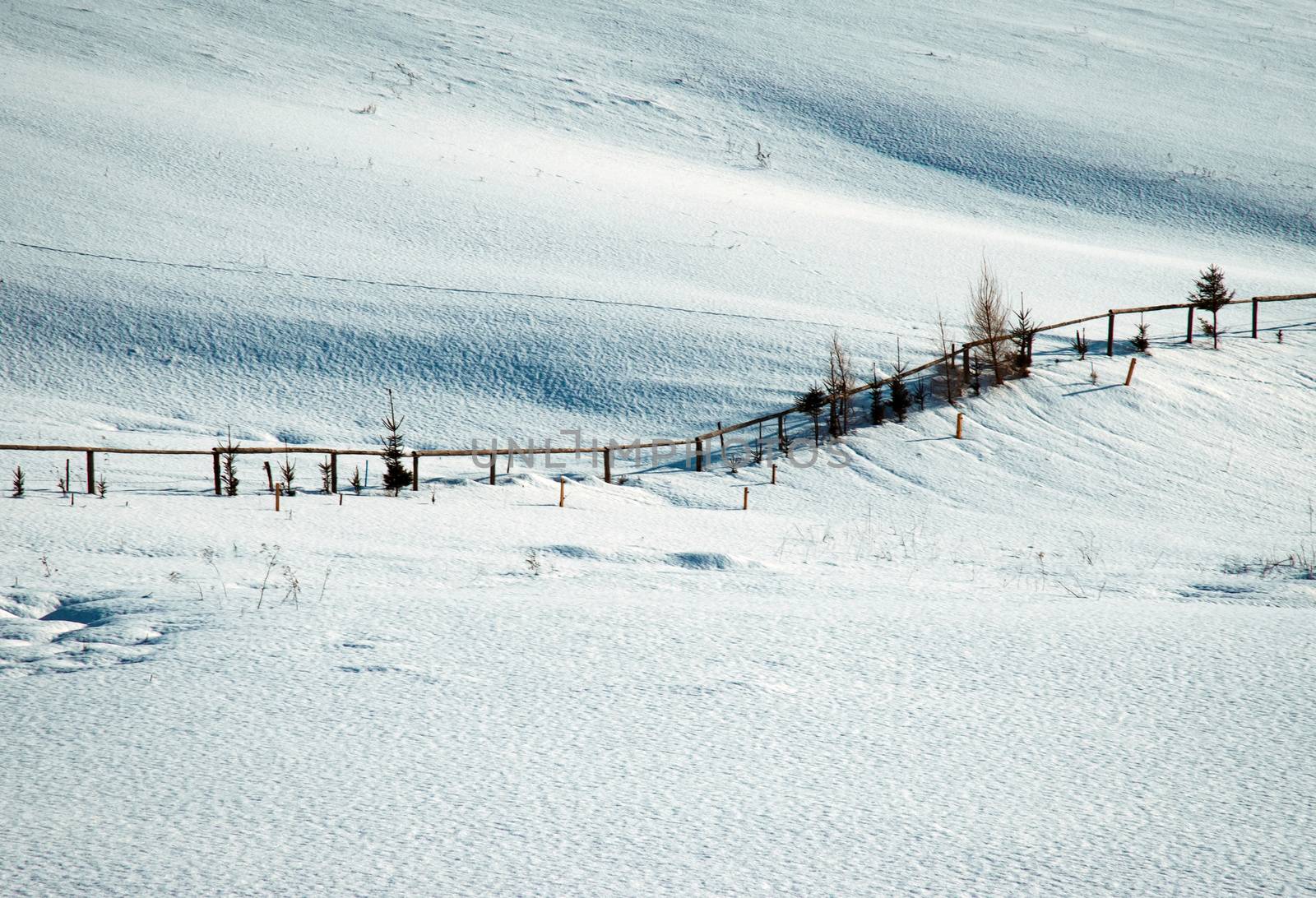 seasonal background snowy meadow with fence