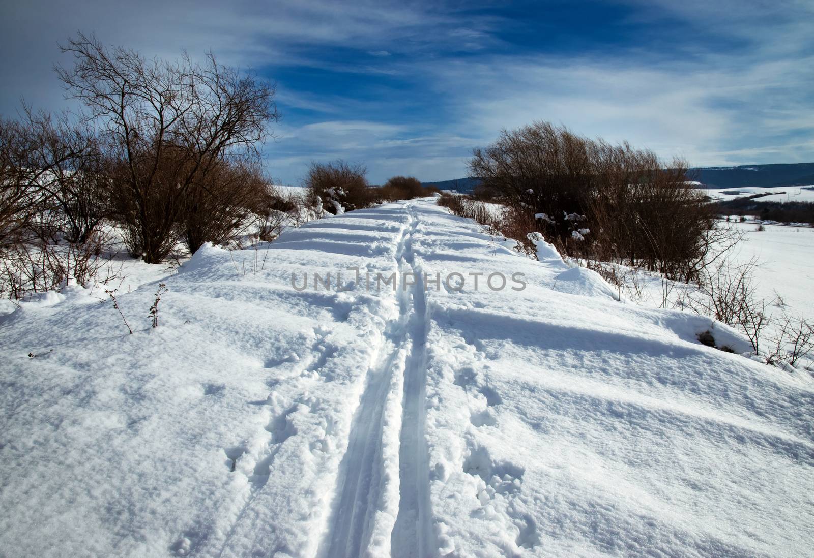 seasonal background country ski trail up the landscape