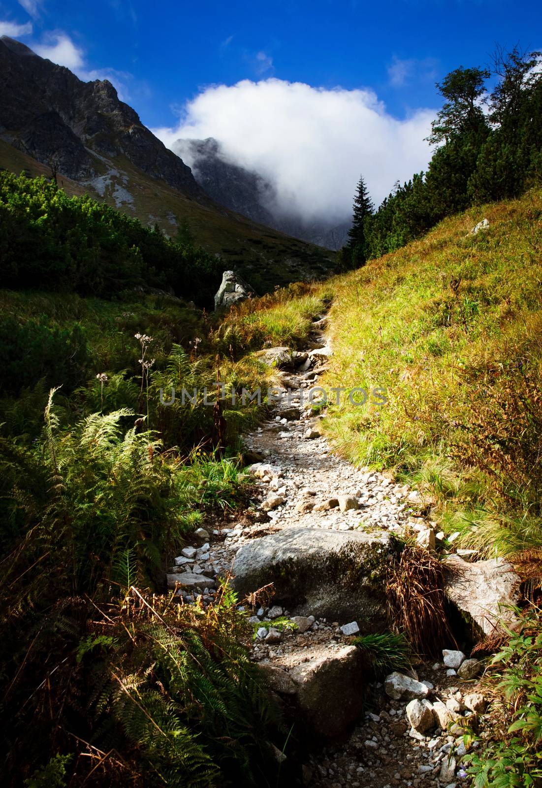 Morning autumn mountain stone walkway by Ahojdoma