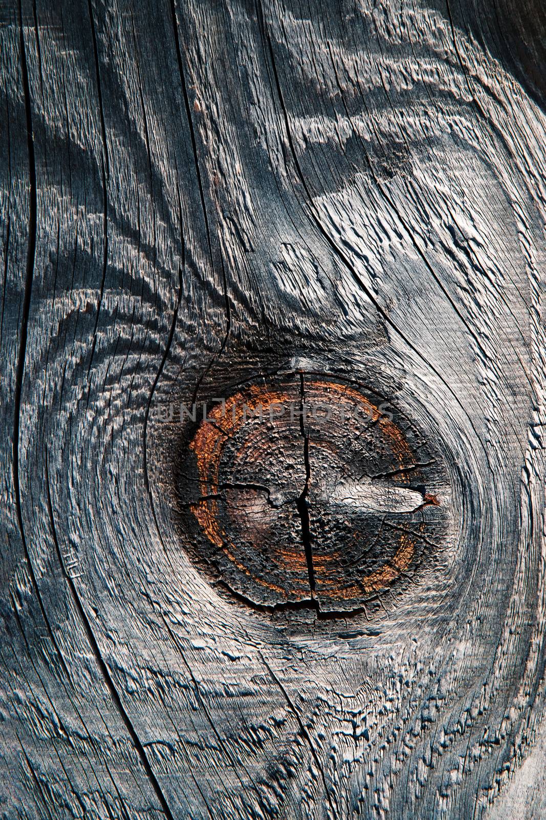 abstract detail on an old weathered wood by Ahojdoma