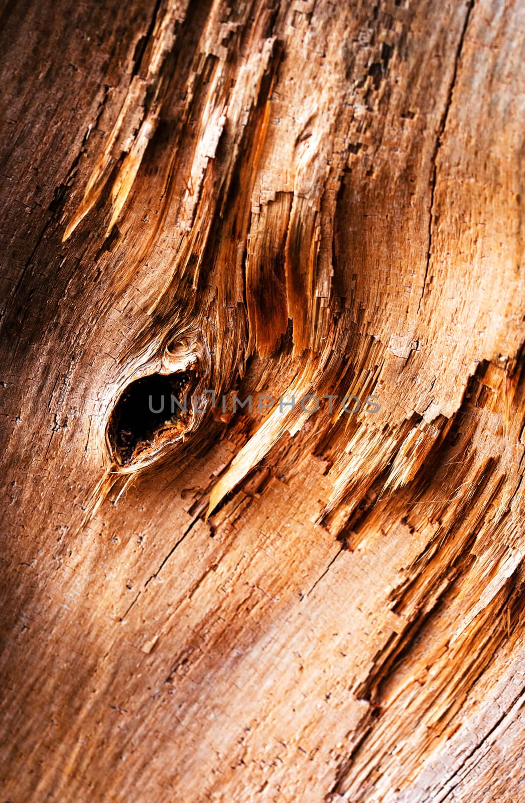 detail abstract split wood by Ahojdoma