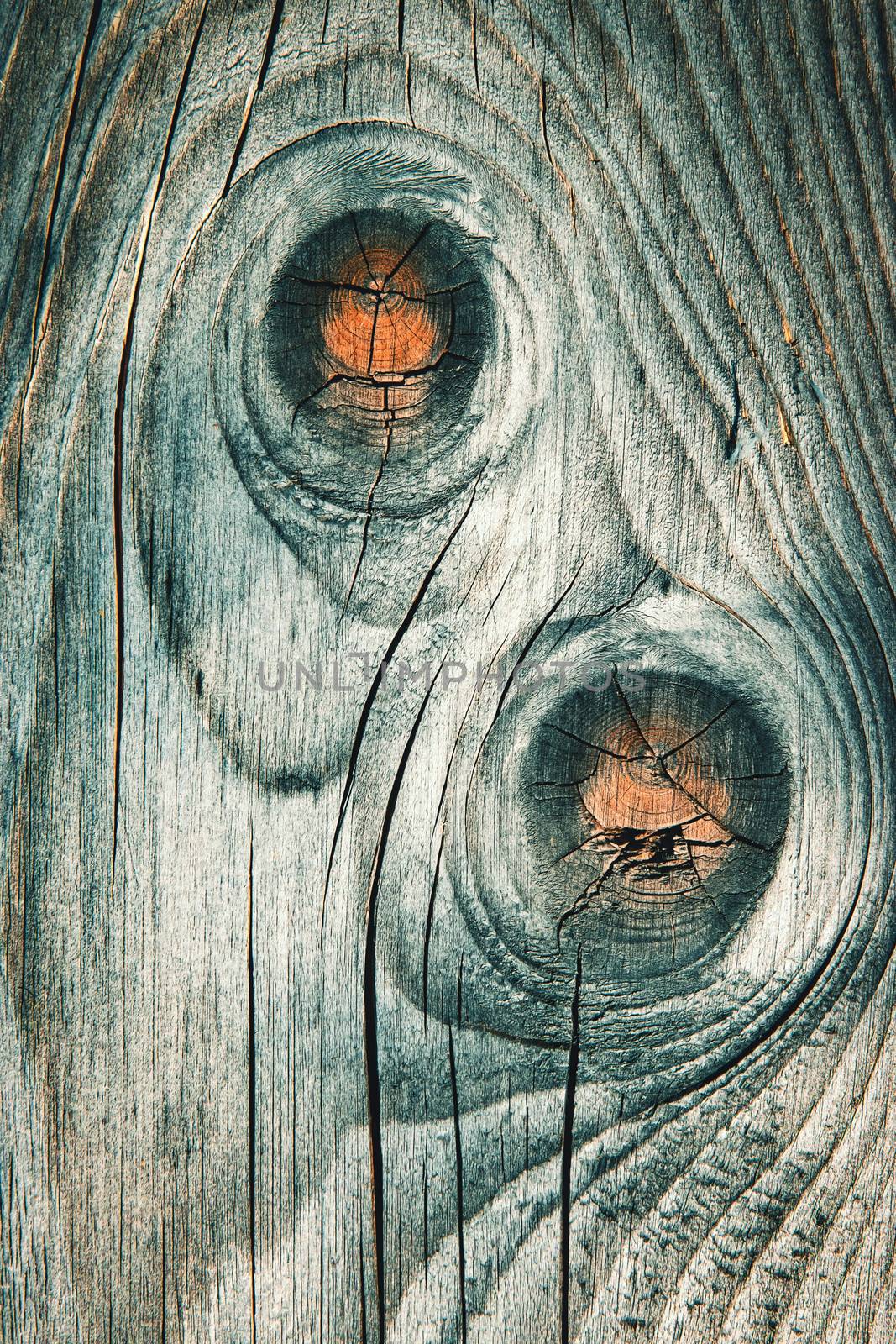 old gray wood with knots in two by Ahojdoma