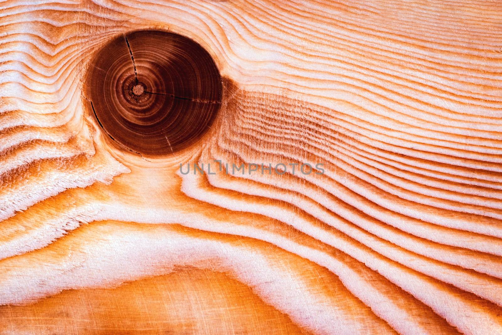 abstract background or texture detail lines annual rings on a tree