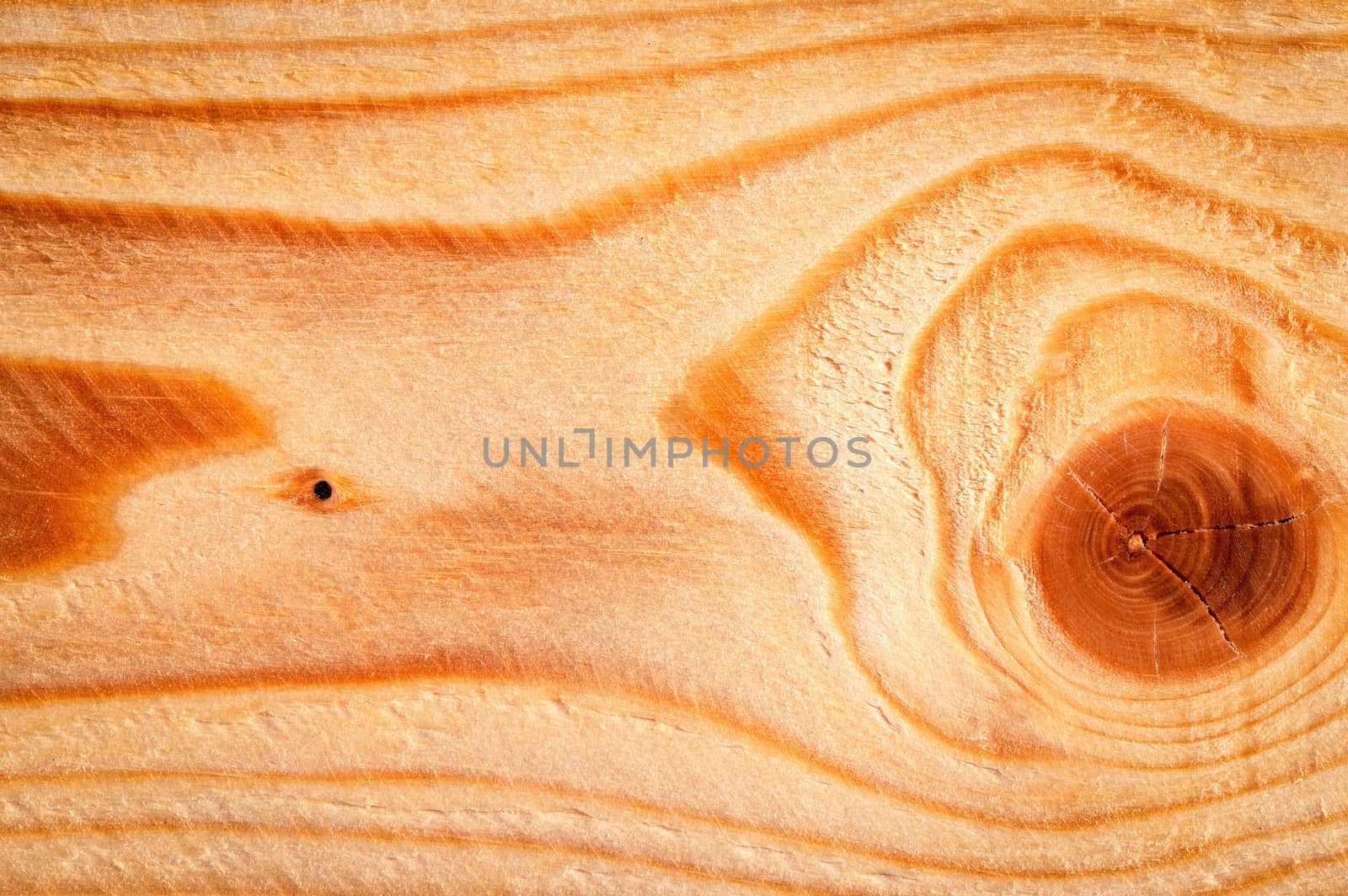 abstract background or texture detail of tree rings and knots on wood