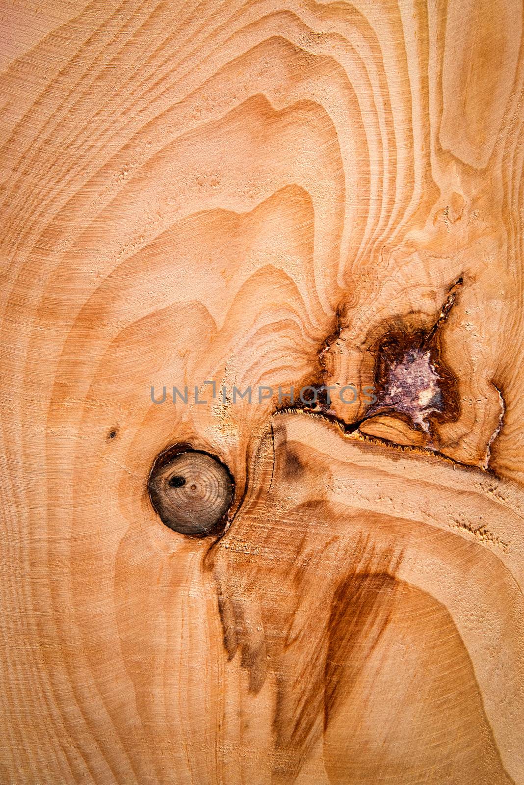 abstract surface of a wooden board by Ahojdoma