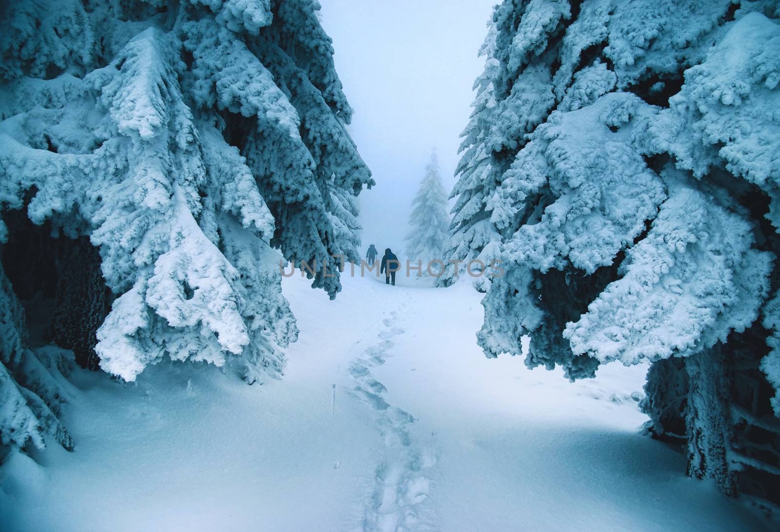 seasonal background characters in mist in winter gloomy landscape