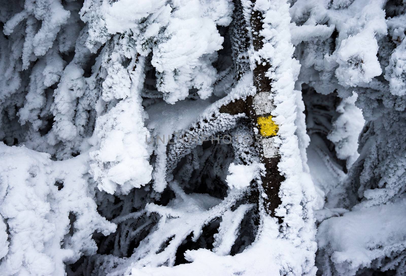 lanscape detail background tourist sign hidden under snow