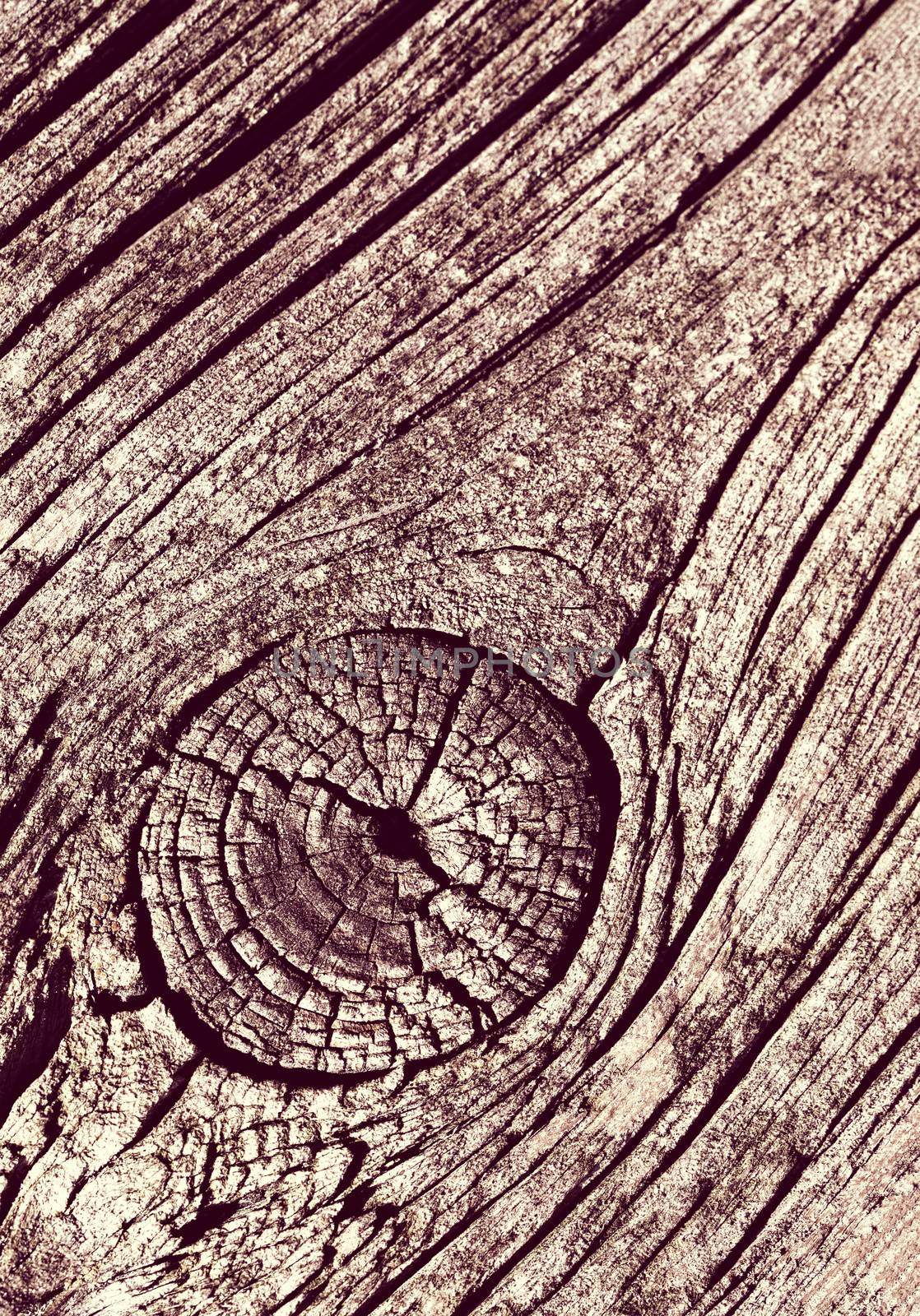 monochrome old wood detail by Ahojdoma