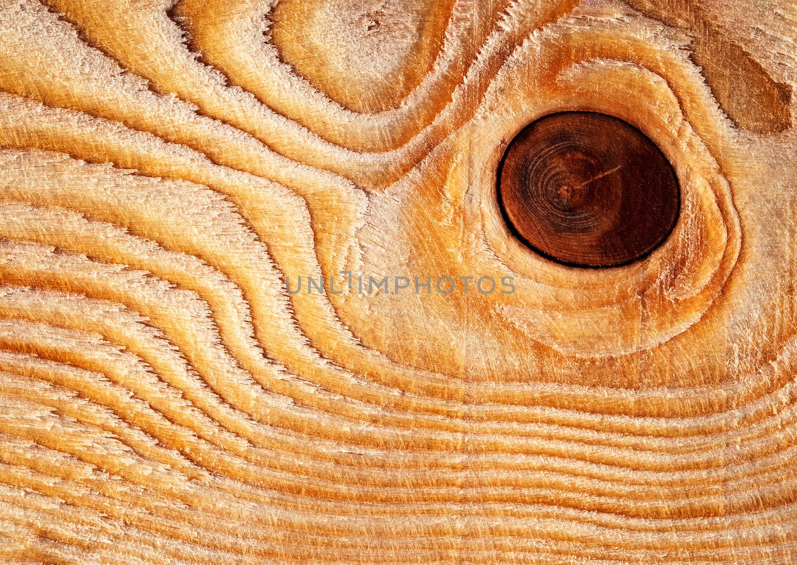 circular knot on wood by Ahojdoma