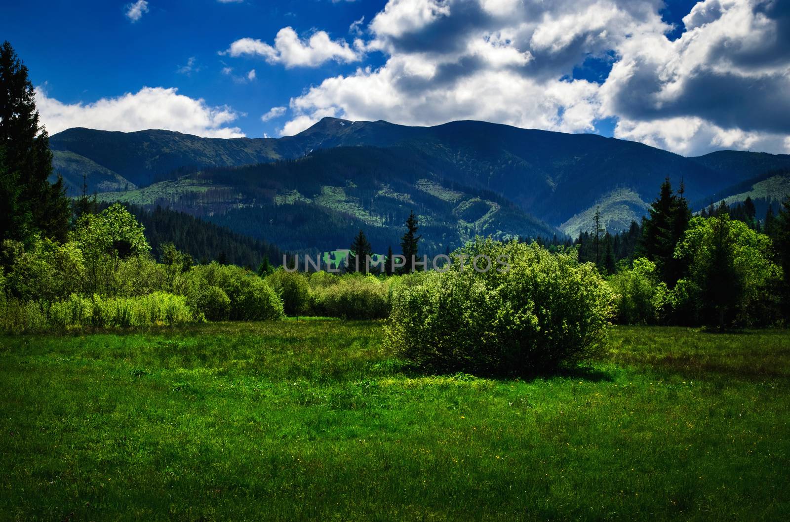 summer mountainous countryside with hills by Ahojdoma