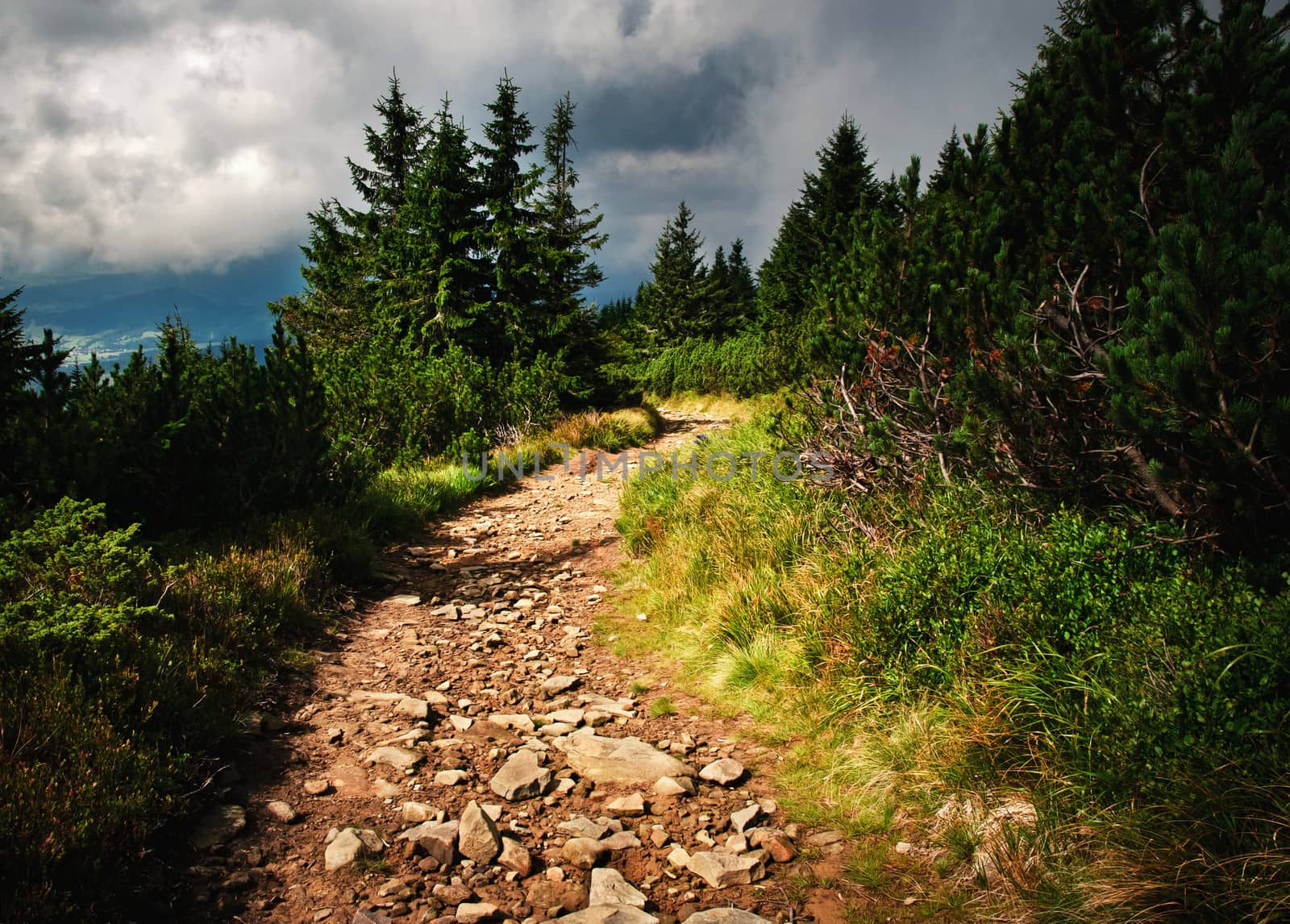 lanscape background gravel trail high in the foothill zone