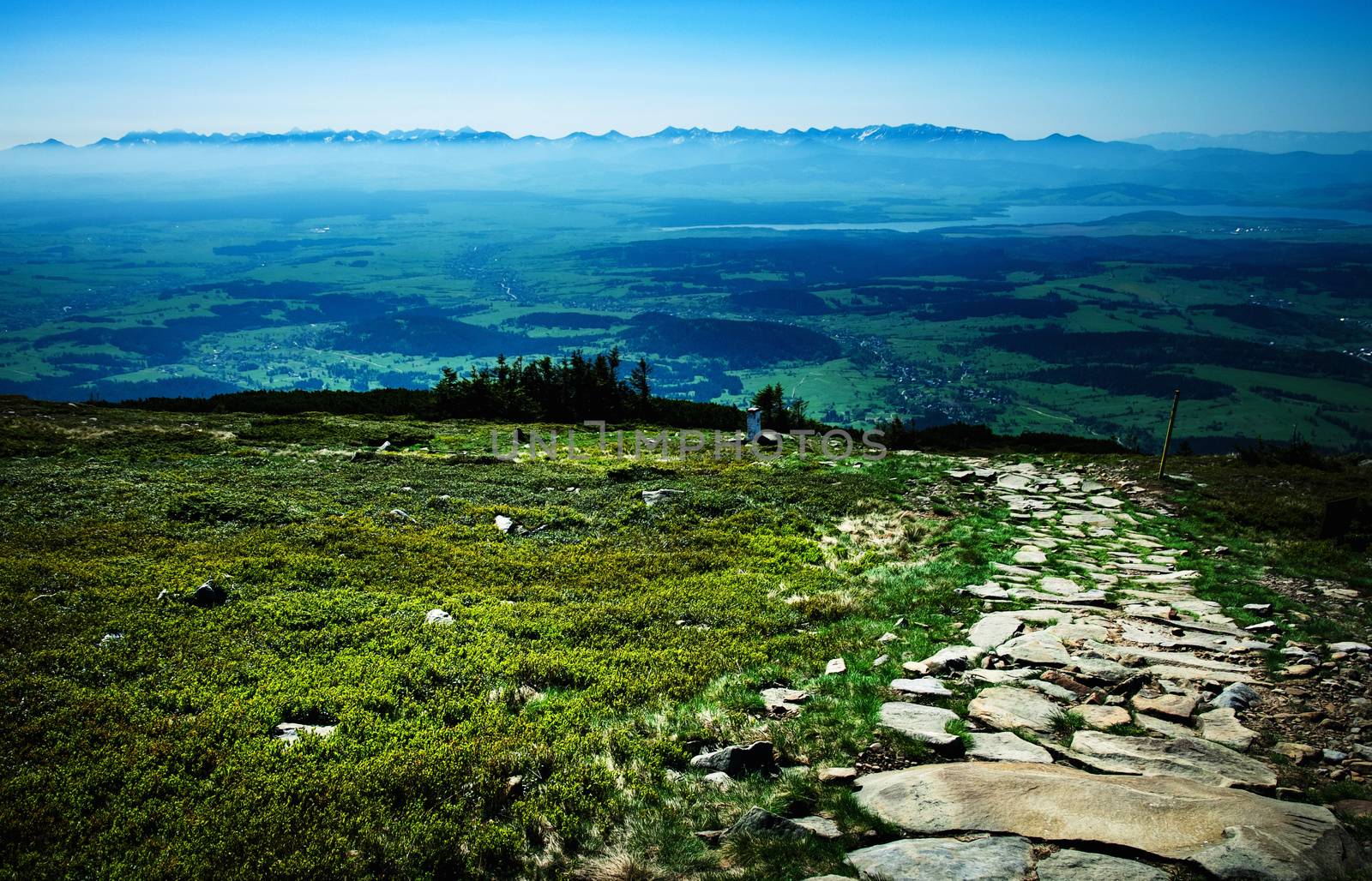 landscape background View from the top of the hill