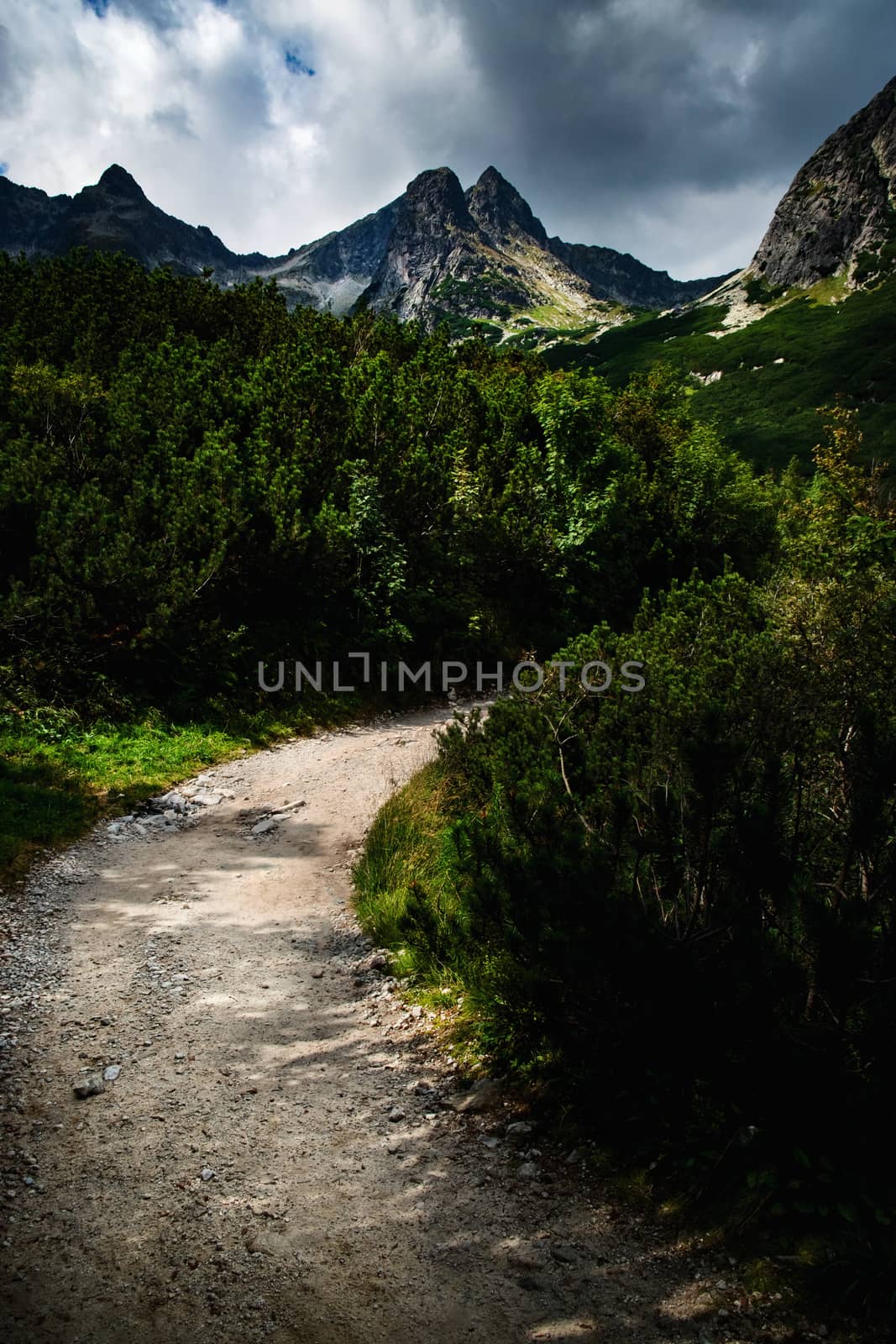 seasonal landscape background a stone walkway into the dark mountain valley