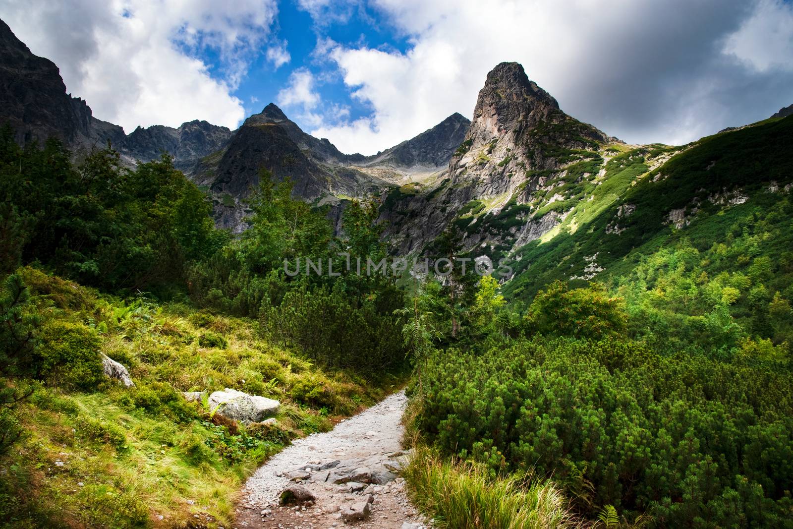 seasonal landscape background a stone walkway into the mountain valley