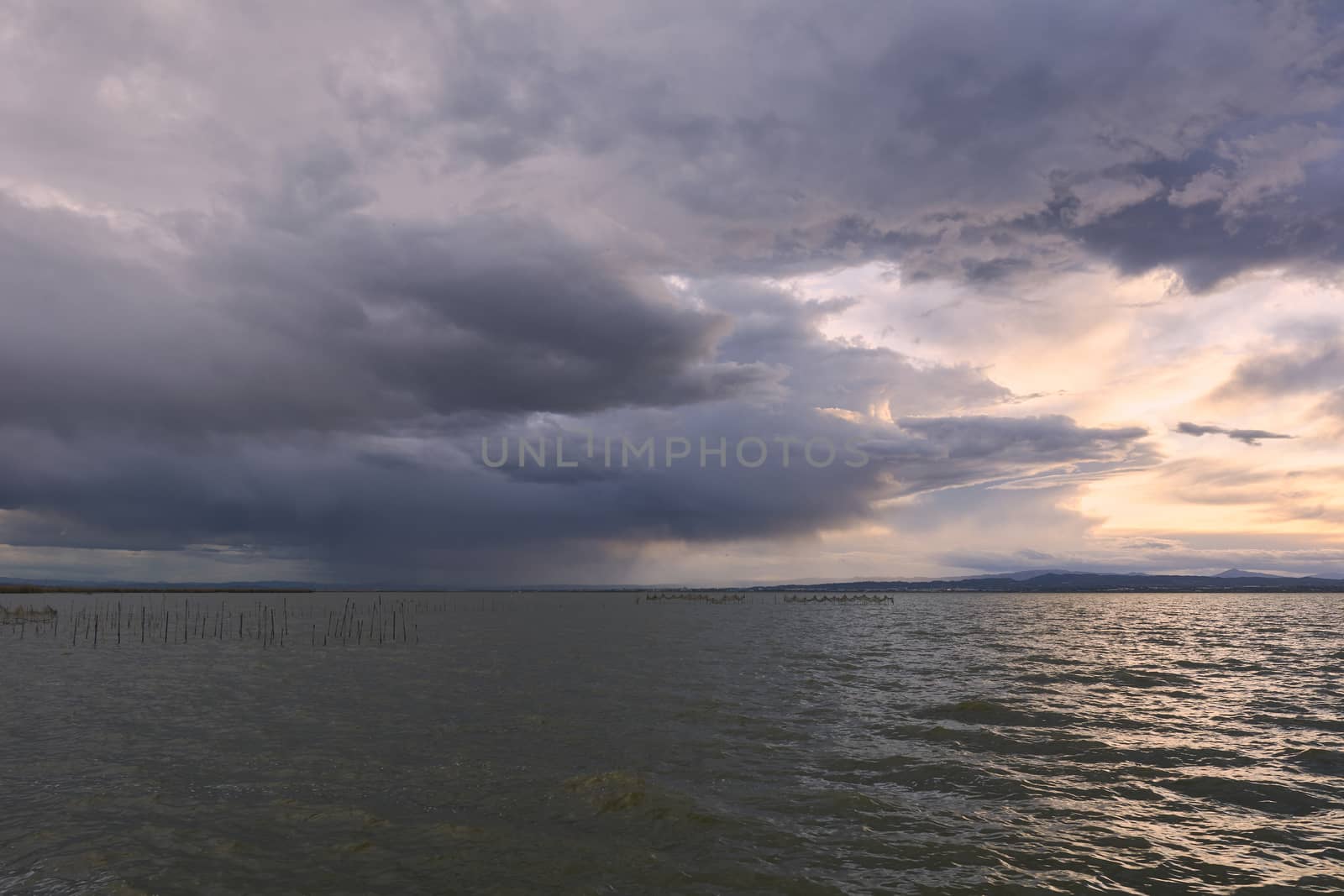 Landscape of a lake with storm clouds, moving waters reeds in the water, bluish tones