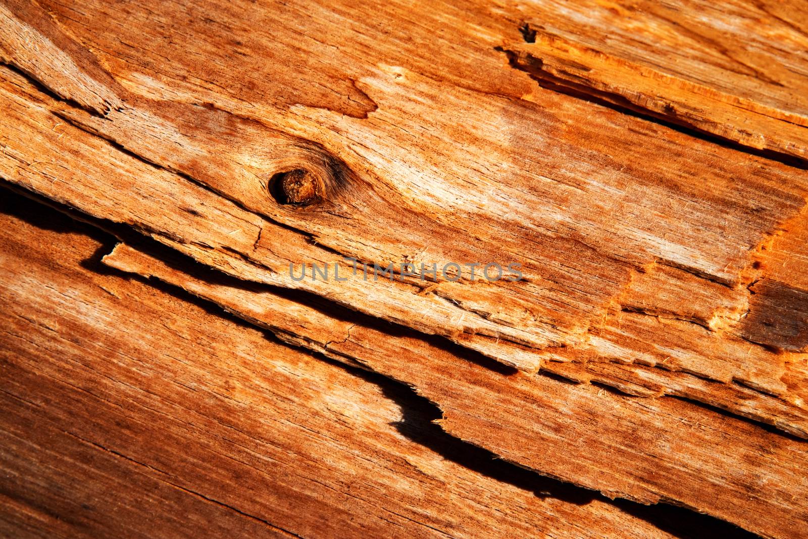 detail decayed and weathered wood by Ahojdoma