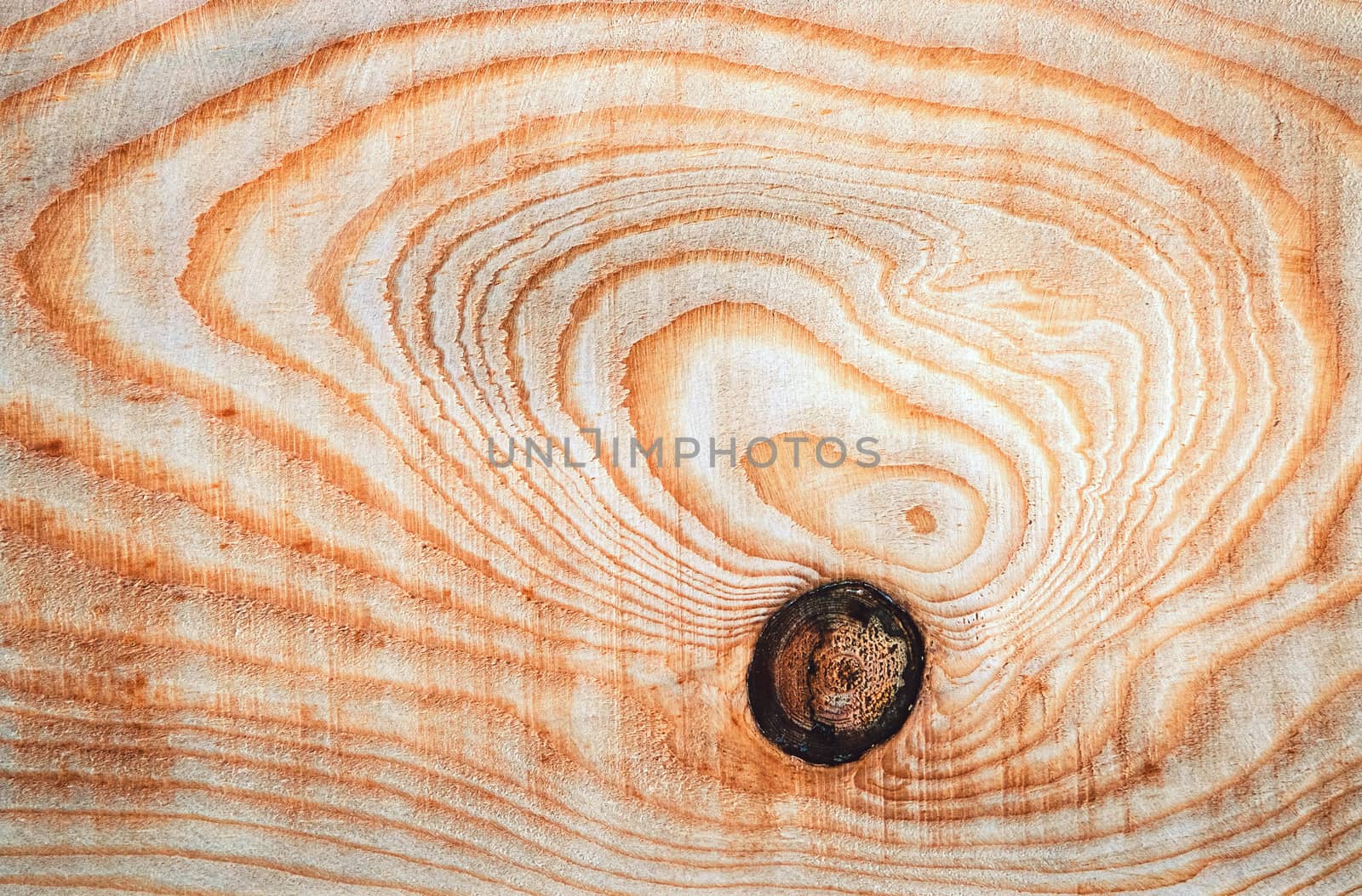 background or texture abstract oval lines on a wooden board