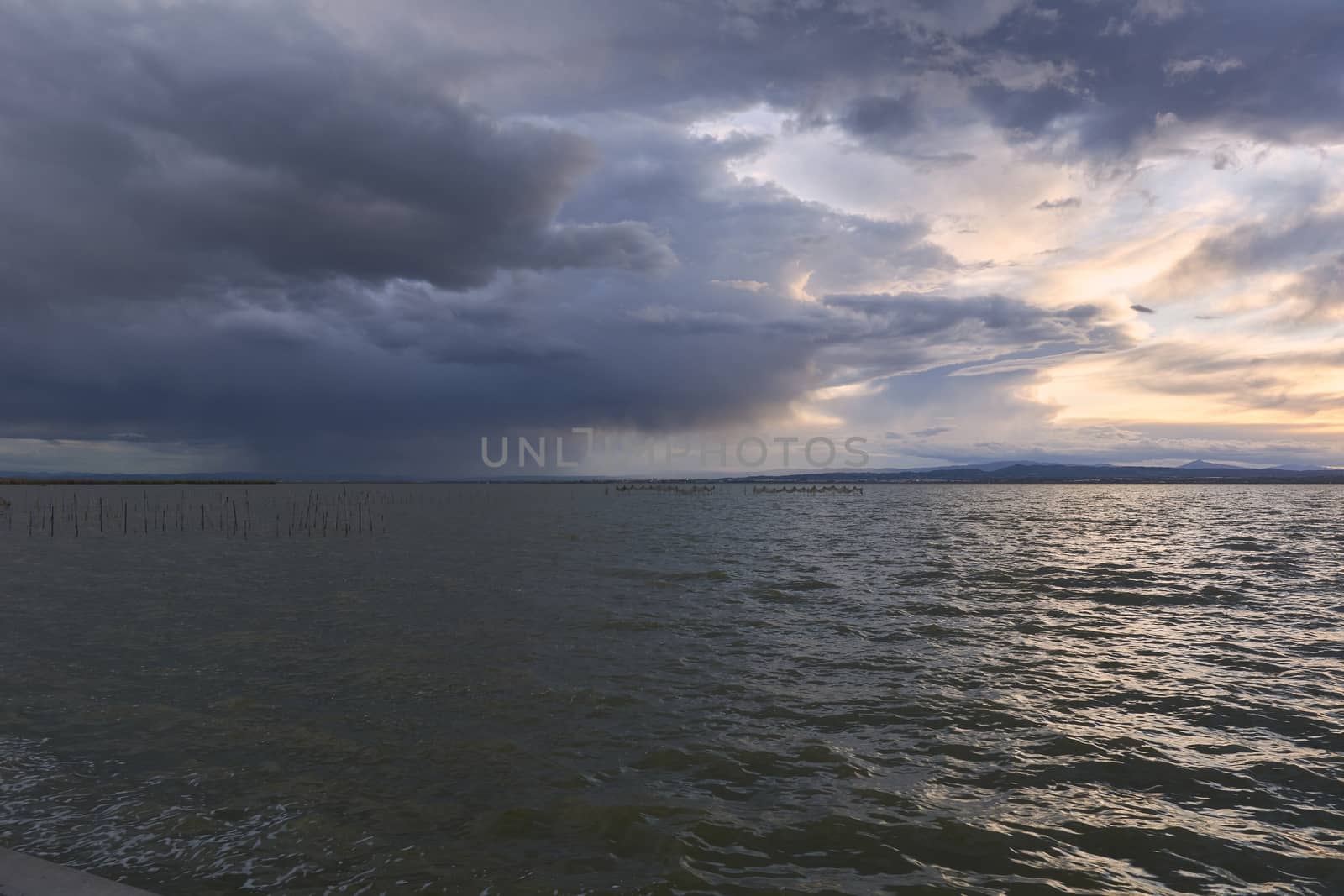 Landscape of a lake with storm clouds, moving waters reeds in the water, bluish tones