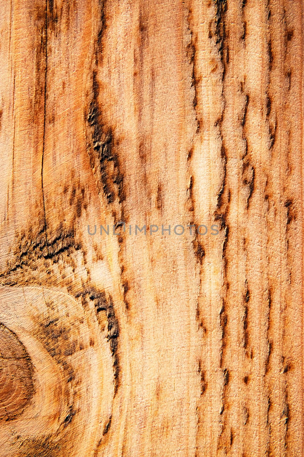 abstract background or texture Detail of old sanded wood board