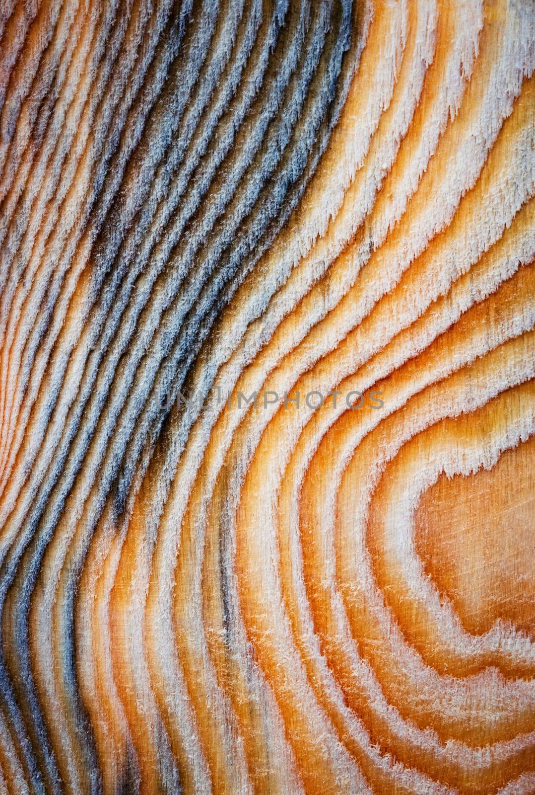 background or texture abstract map on a wooden board