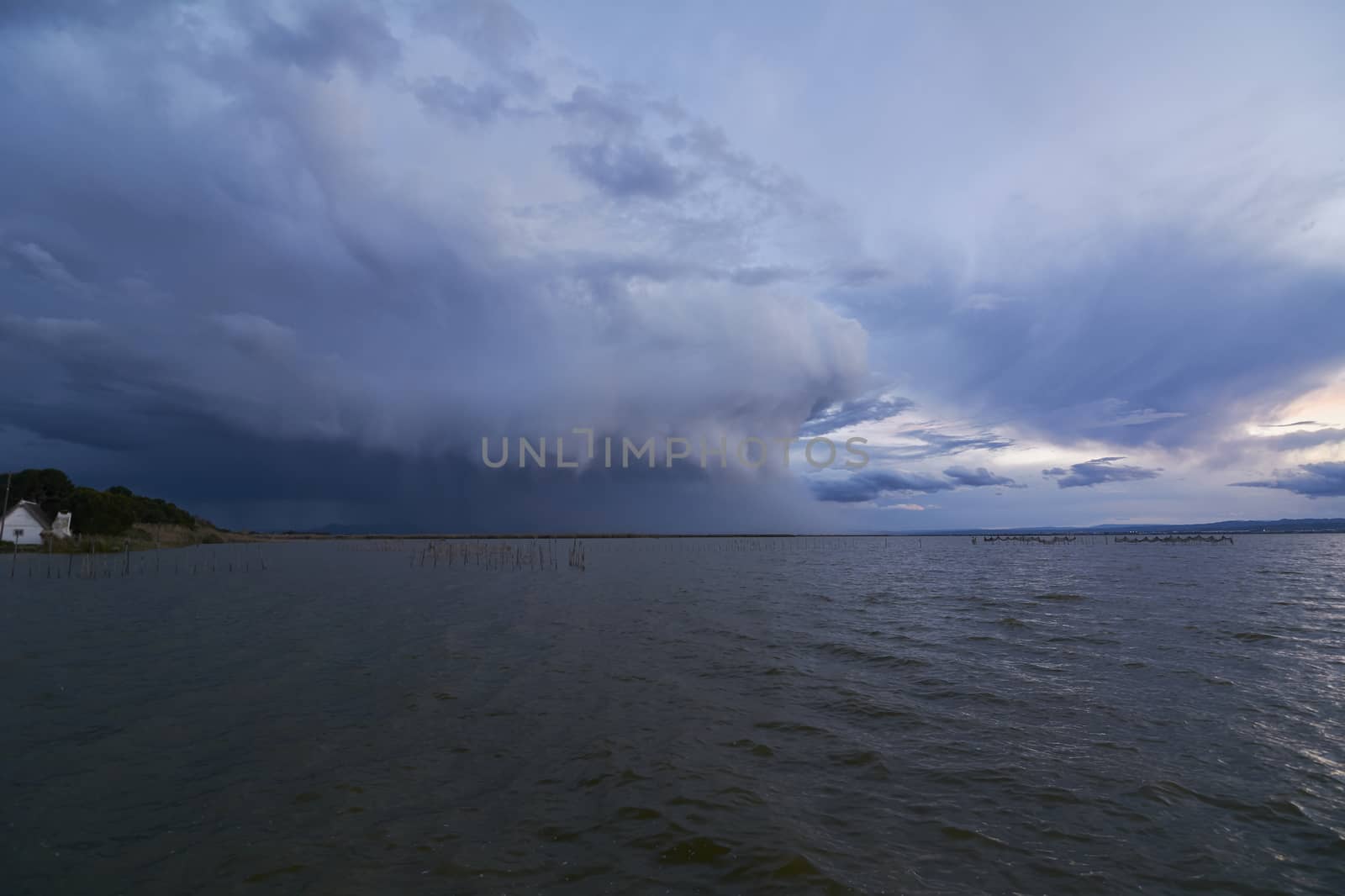 Landscape of a lake with storm clouds, moving waters reeds in the water, bluish tones