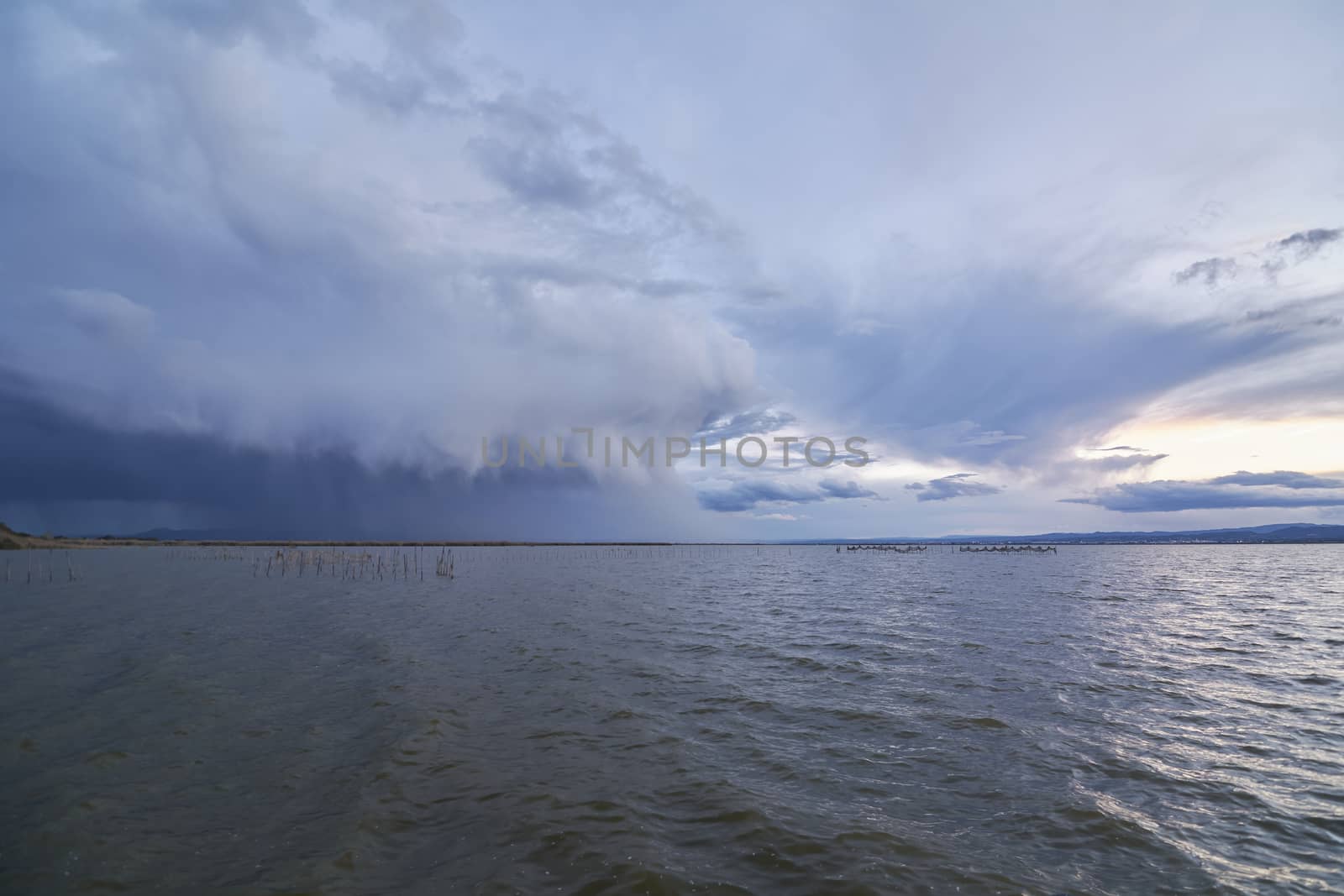 Landscape of a lake with storm clouds, moving waters reeds in the water, bluish tones