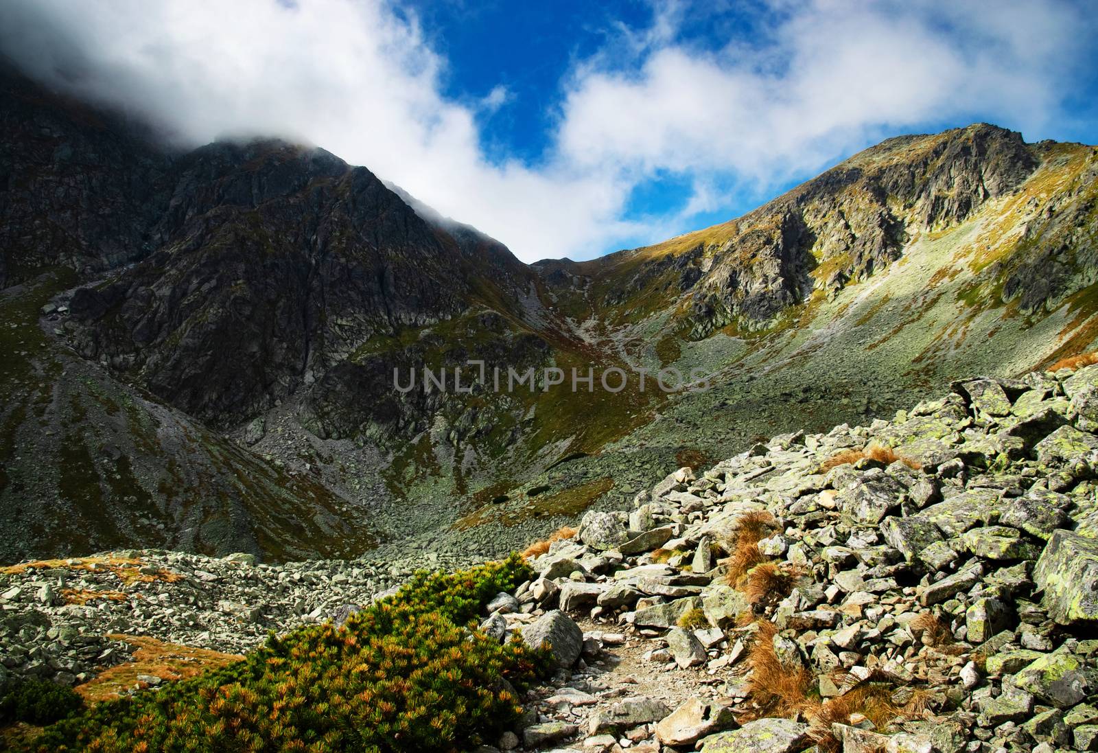 lanscape background trail mountain valley