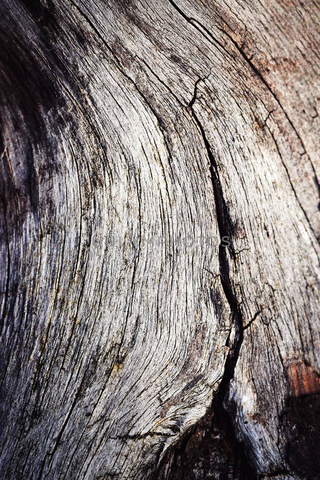 crack in old wood by Ahojdoma