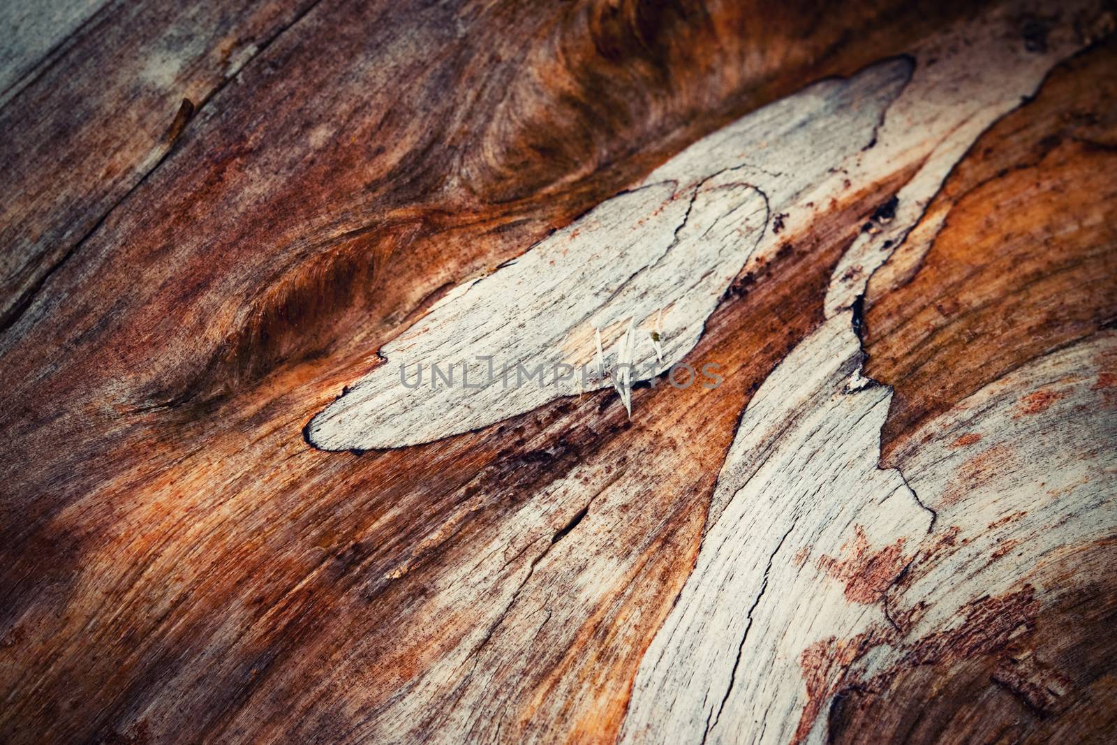 Detail of abstract shape on old wood by Ahojdoma