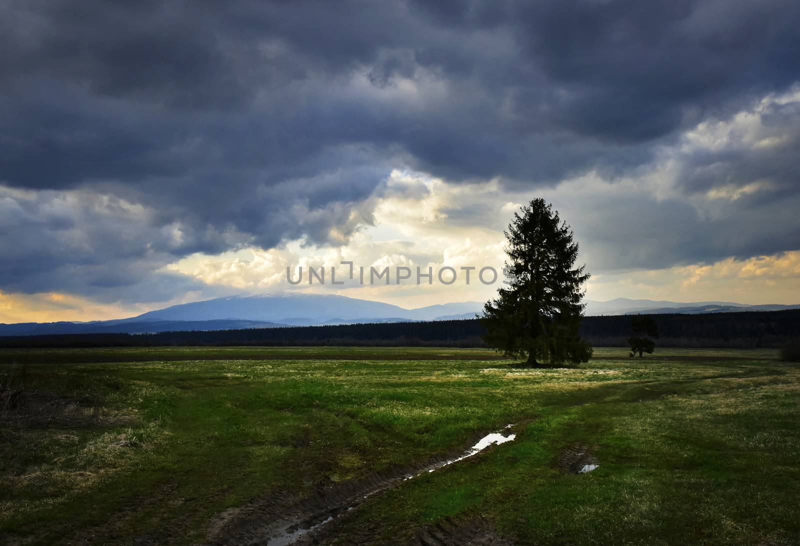 nature background dark heavy clouds above the autumn landscape