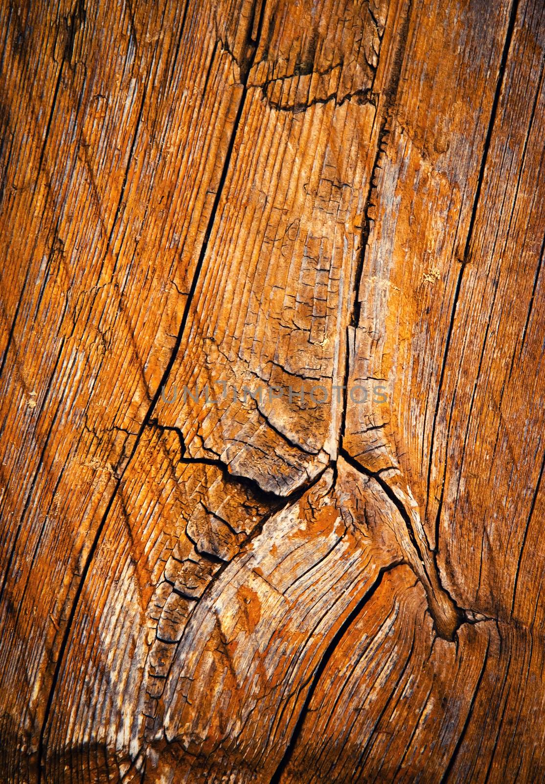 brown old board with cracks by Ahojdoma