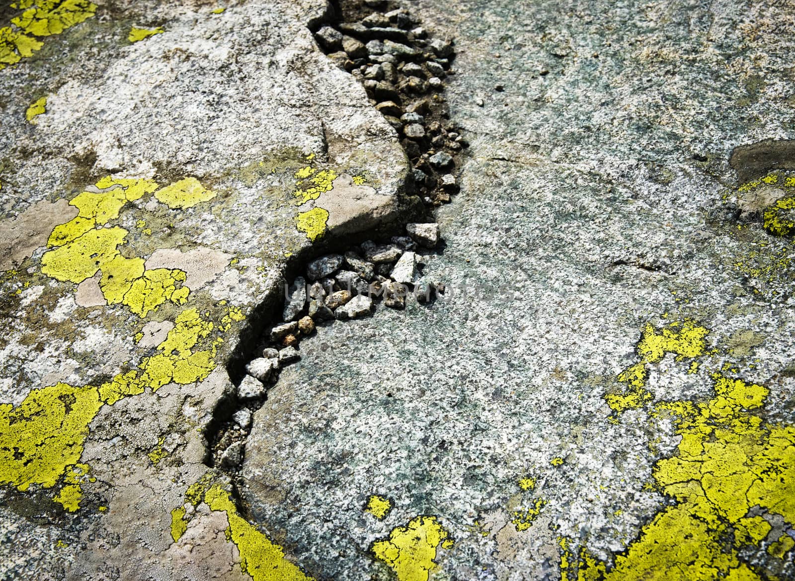 background or texture detail on granite rocks with yellow moss