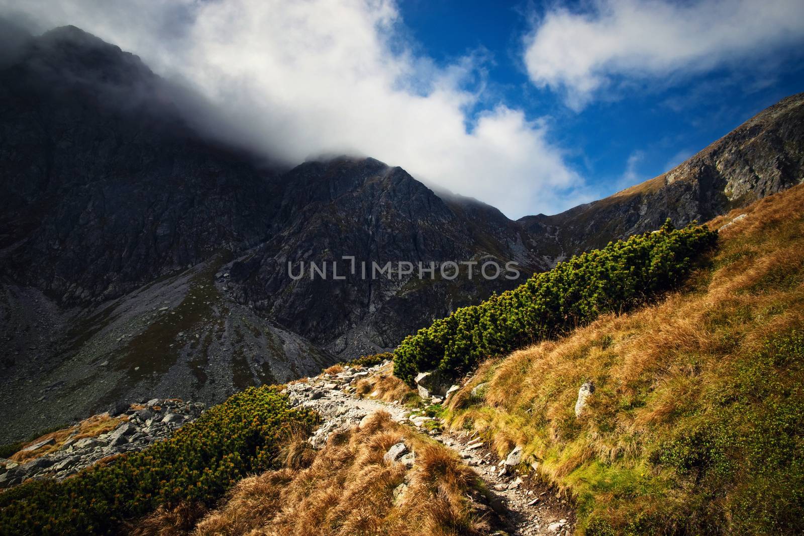 seasonal landscape background a stone path in the autumn mountains