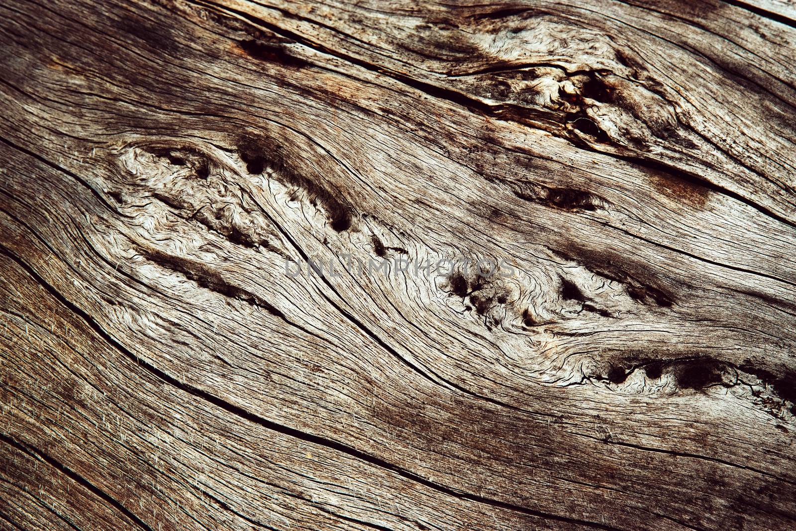 background or texture abstract detail of dry wood