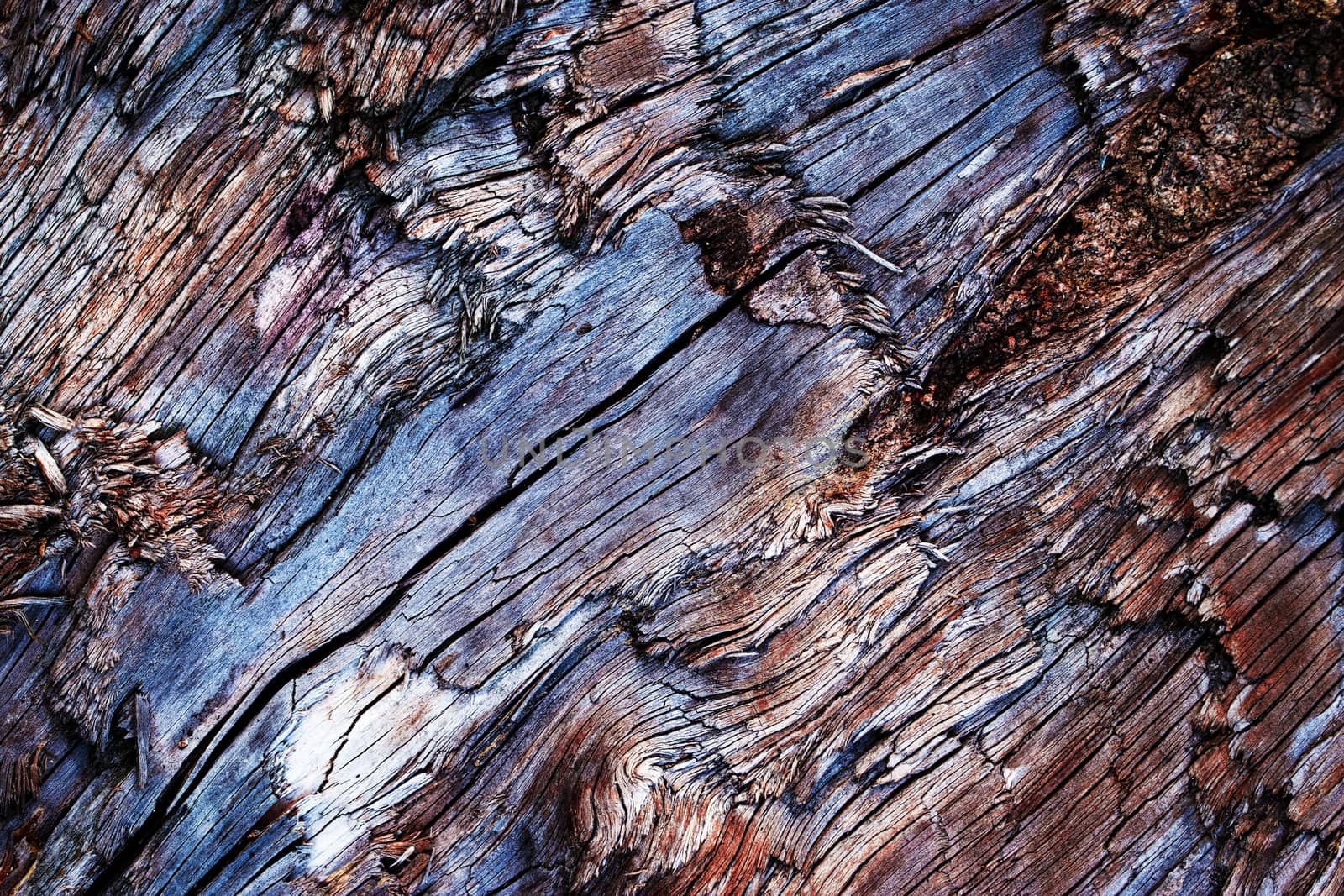 detail of old broken wood by Ahojdoma