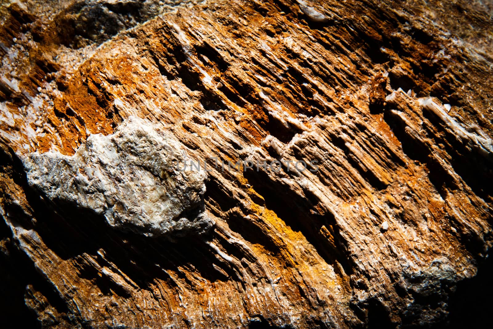 abstract detail on orange rock by Ahojdoma