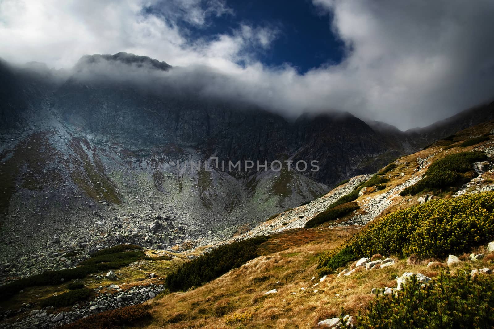 landscape background rocky peak hidden in mist