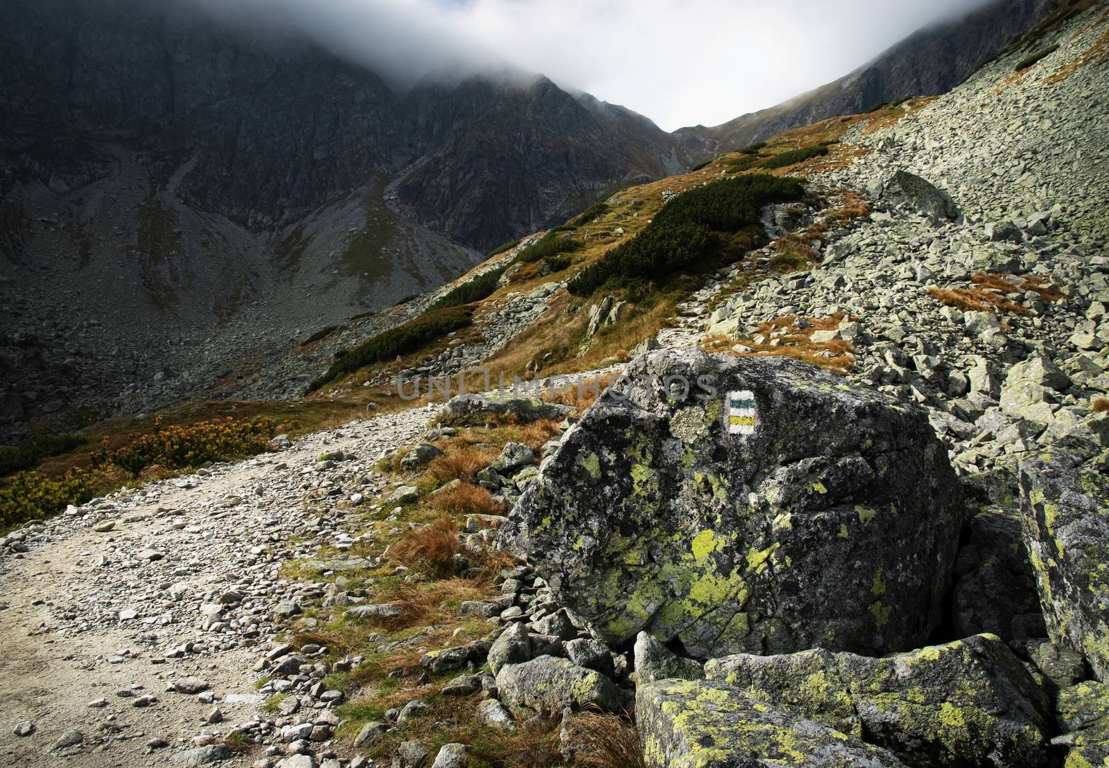 nature landscape background stone walkway up to the mist