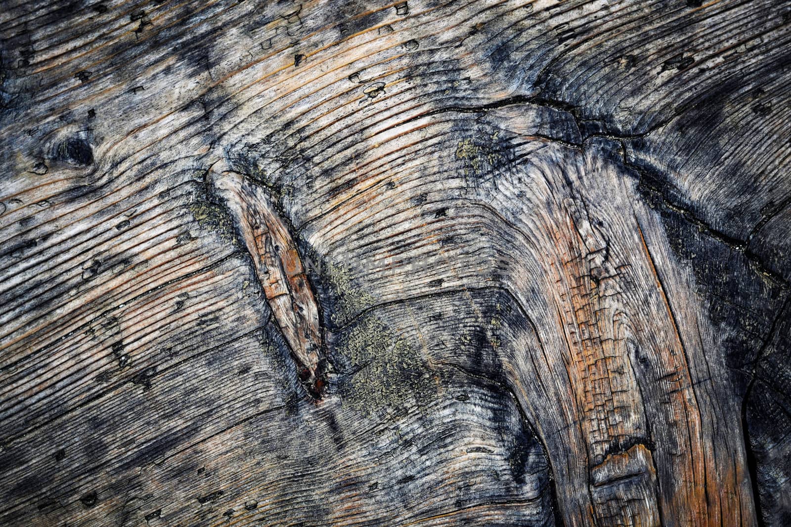 Detail of an old weathered wooden boards by Ahojdoma