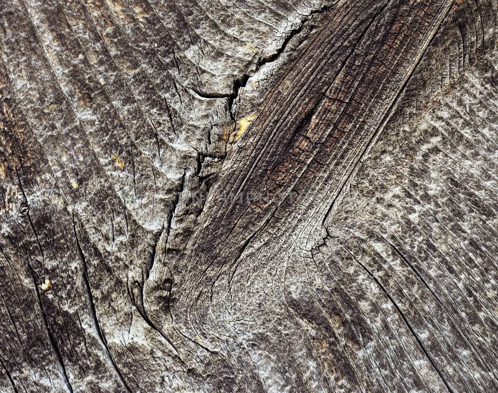 Detail of old wood board by Ahojdoma