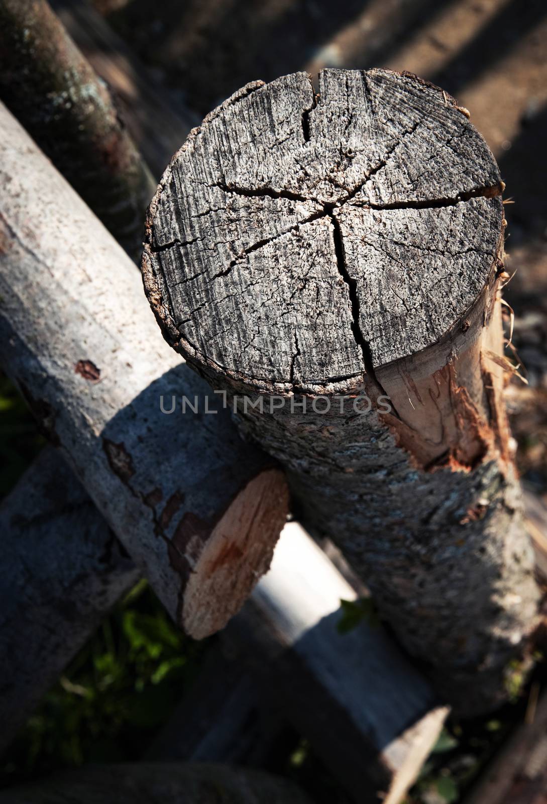 background Detail of a wooden fence with branches