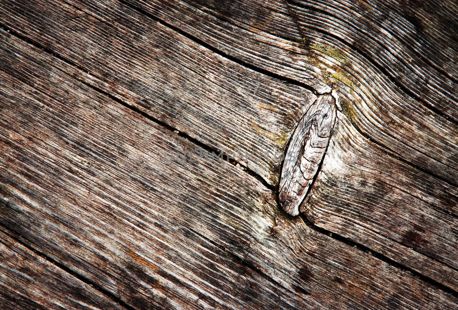 old weathered wood board by Ahojdoma